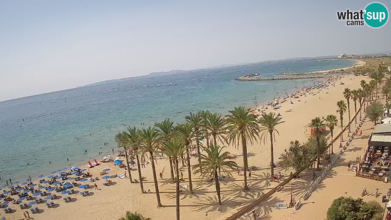 Kamera v Živo Roses plaža – pogled s hotela Montecarlo