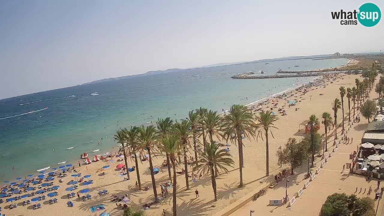 Webcam Roses Strand – Hotel Montecarlo