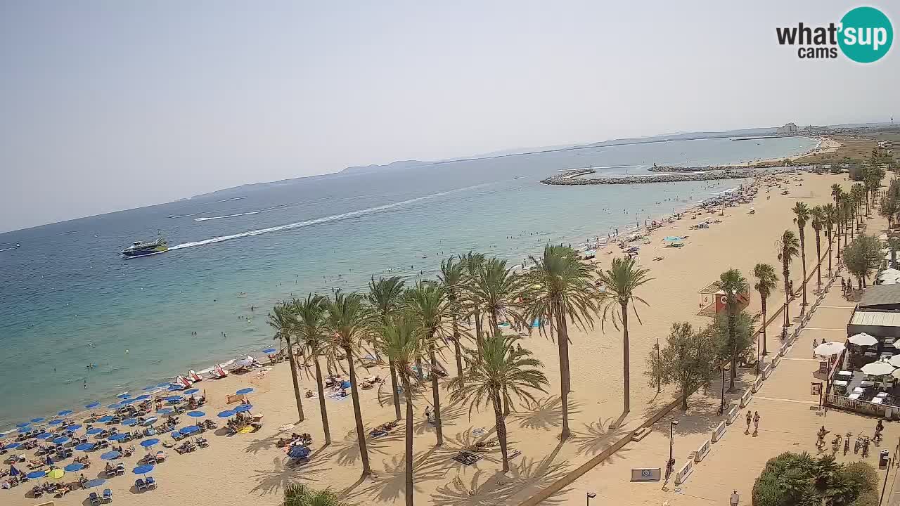 Webcam Roses Strand – Hotel Montecarlo