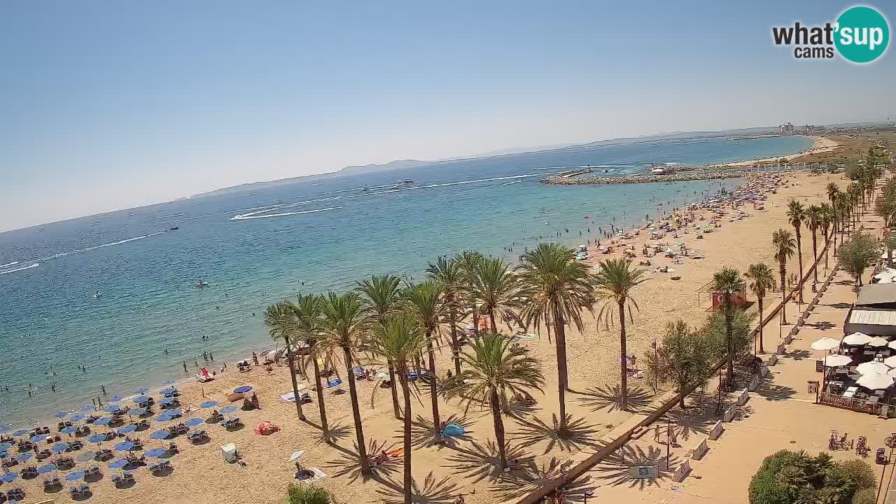 Webcam Roses Strand – Hotel Montecarlo