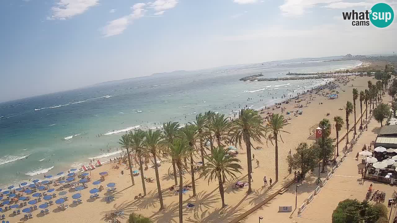 Webcam Roses Strand – Hotel Montecarlo