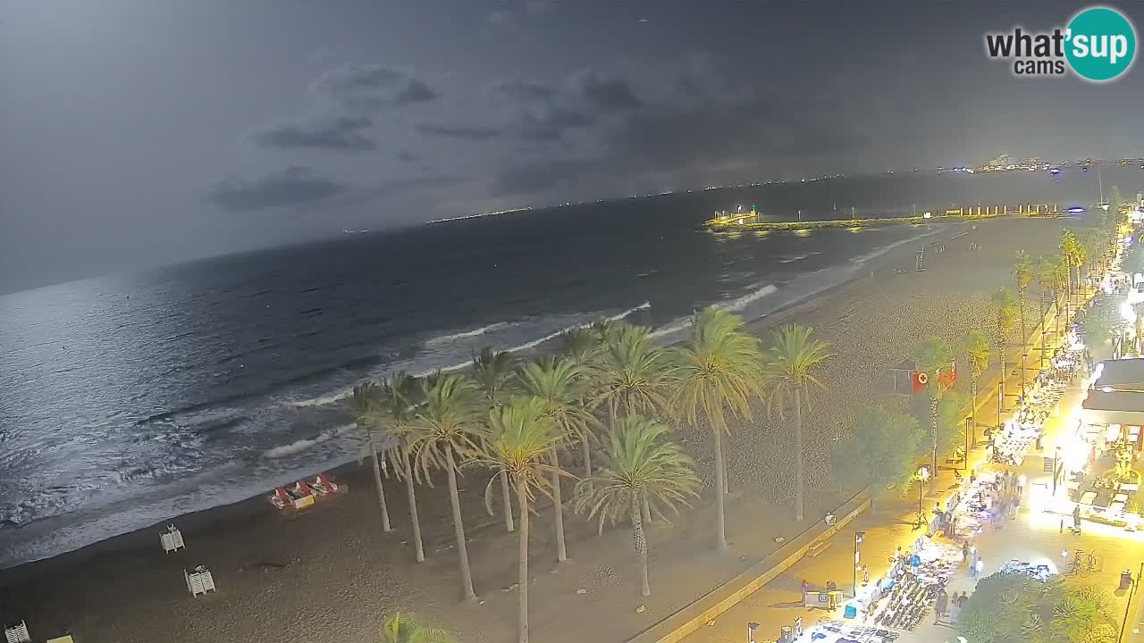 Webcam Roses Strand – Hotel Montecarlo