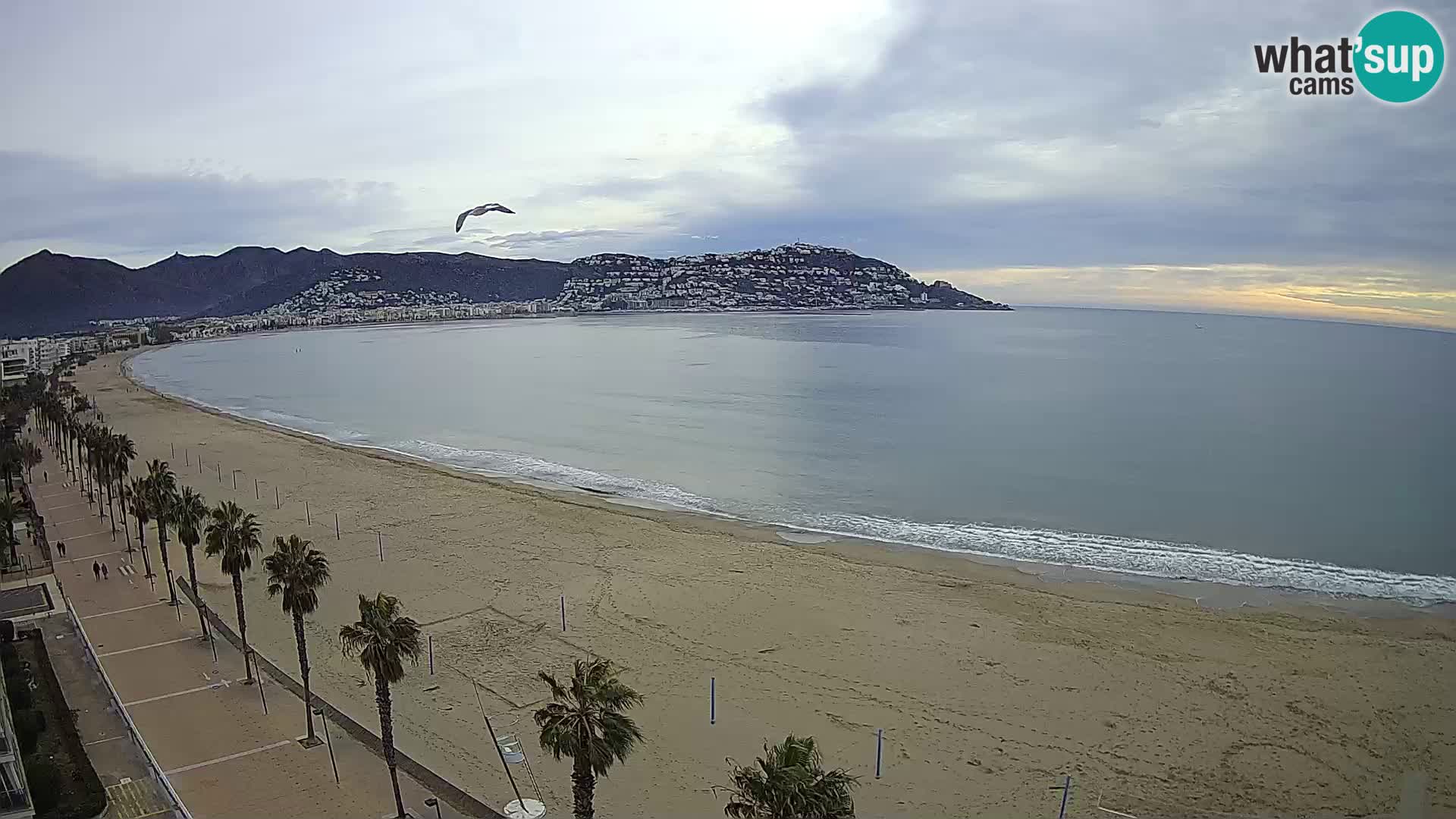 Live Roses Webcam Costa Brava beach view from MonteCarlo Hotel