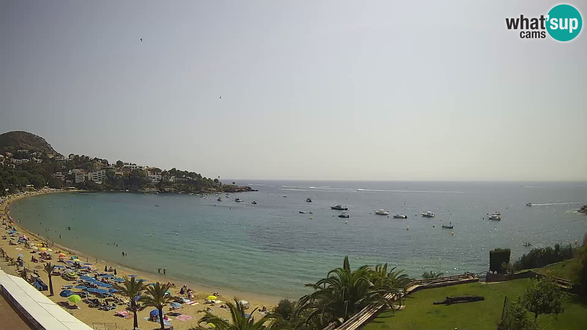 Platja de l’Almadrava beach Live Webcam Roses – Costa Brava – Spain