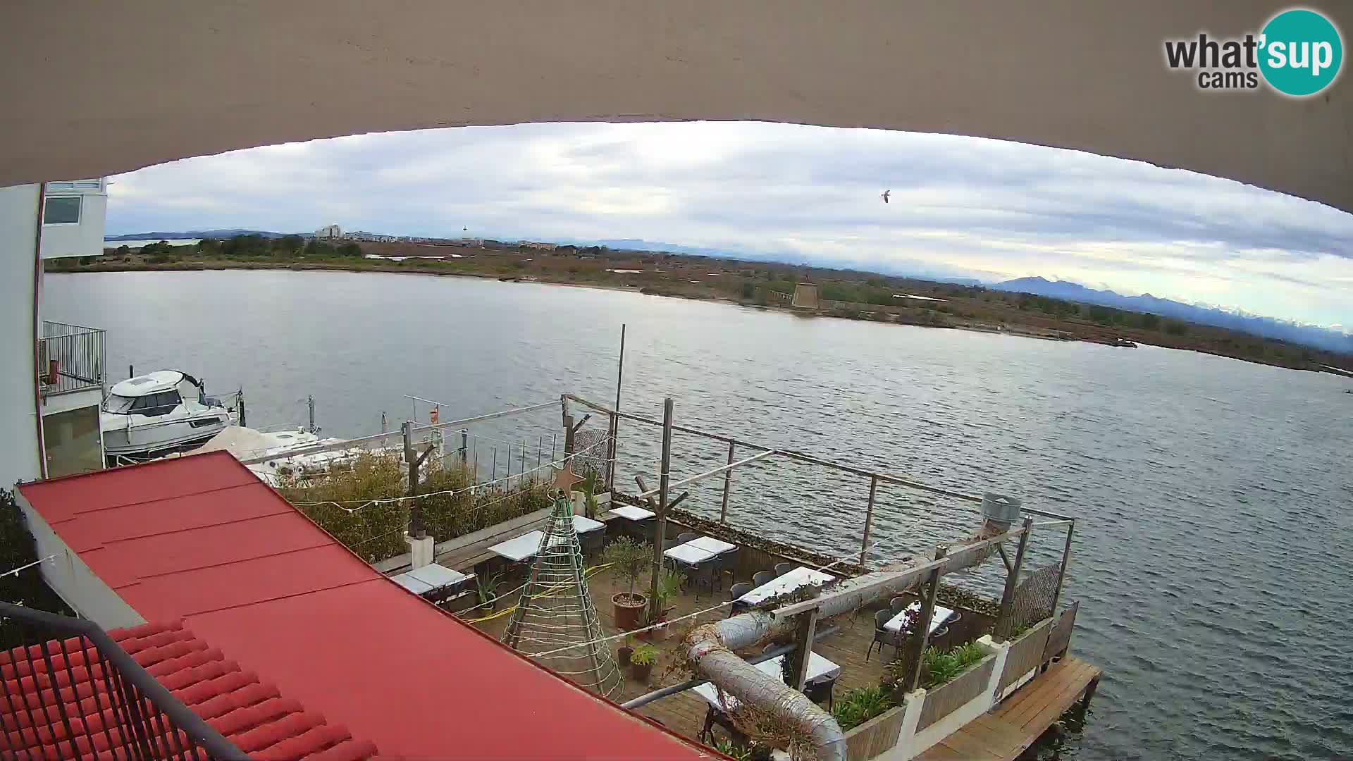 Livecam Roses El Nautil | Costa Brava