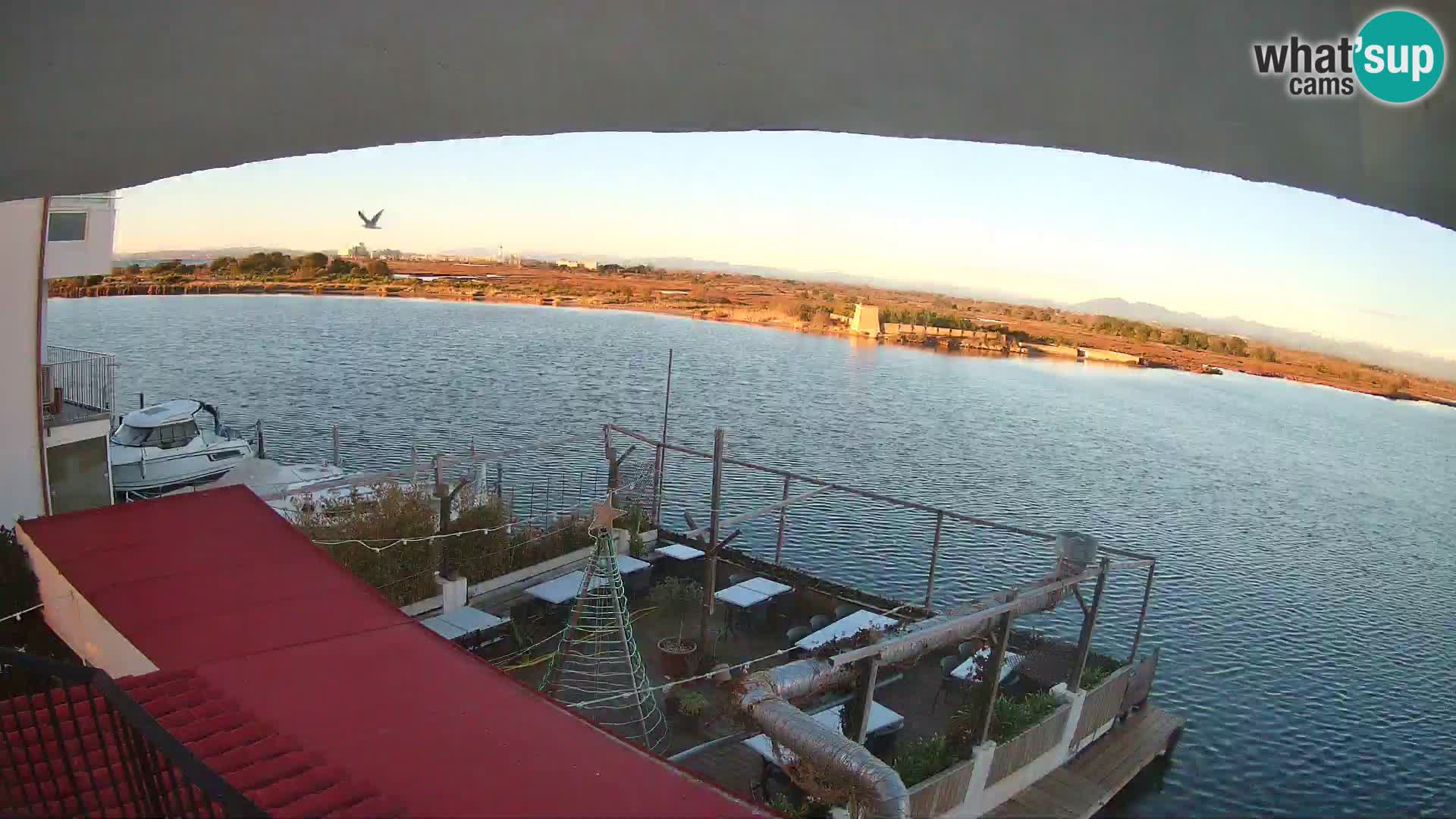 Camera Roses El Nautil | Costa Brava