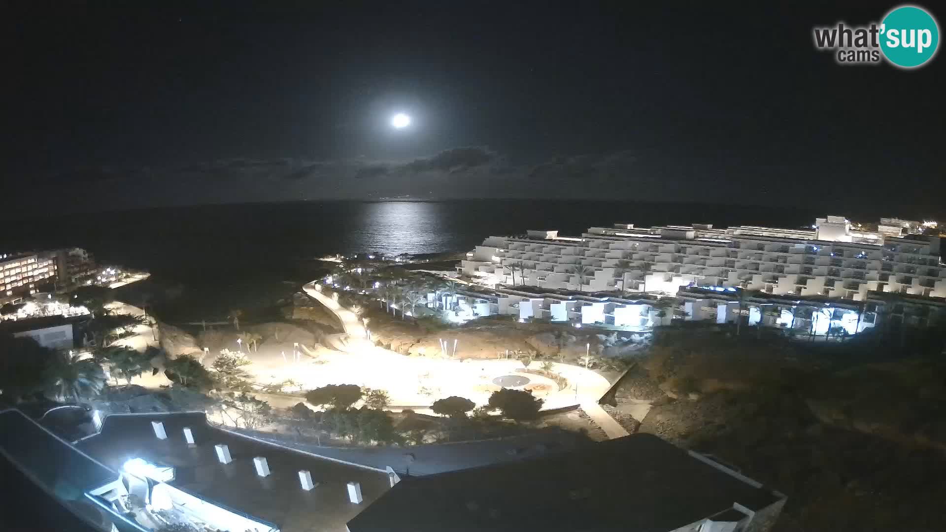 Webcam en direct Playa de Las Galgas – Playa Paraiso – île de La Gomera – Costa Adeje – Tenerife