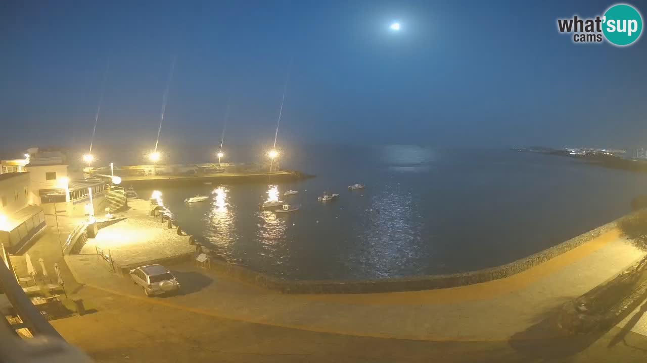 Tenerife – Playa Ajabo, Callo Salvaje – webcam live