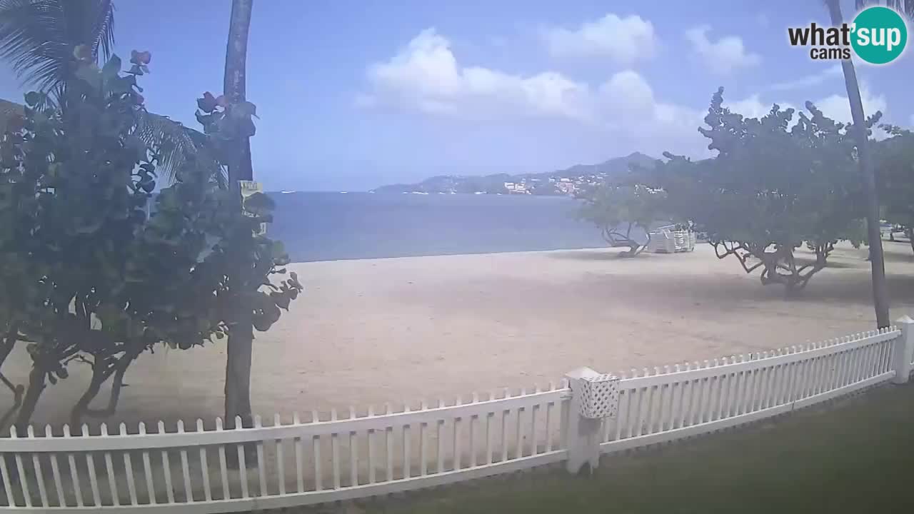 Native Spirit Scuba on Plaža Grand Anse – Grenada