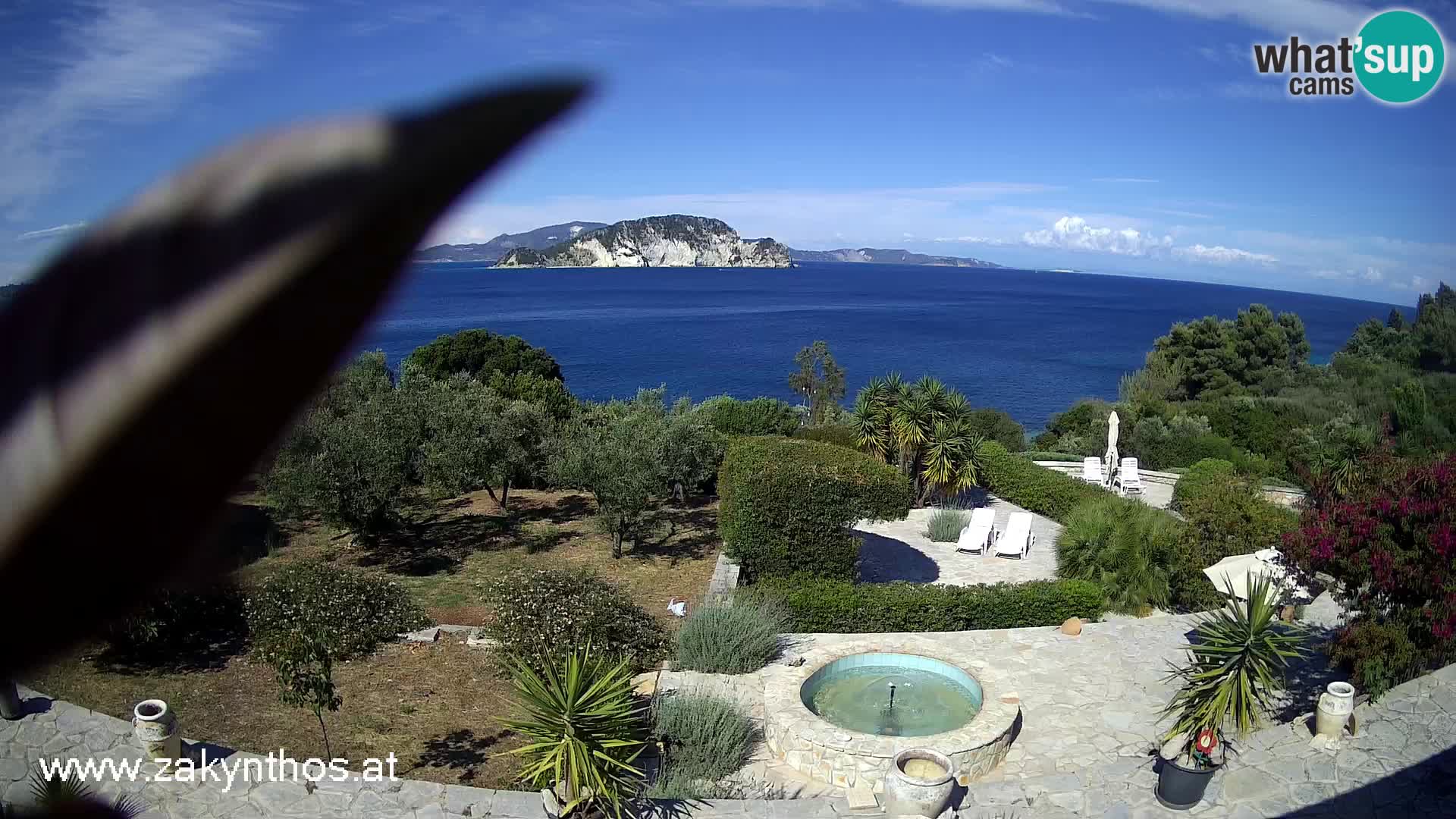 Camera en vivo Zante – parque natural Marathia