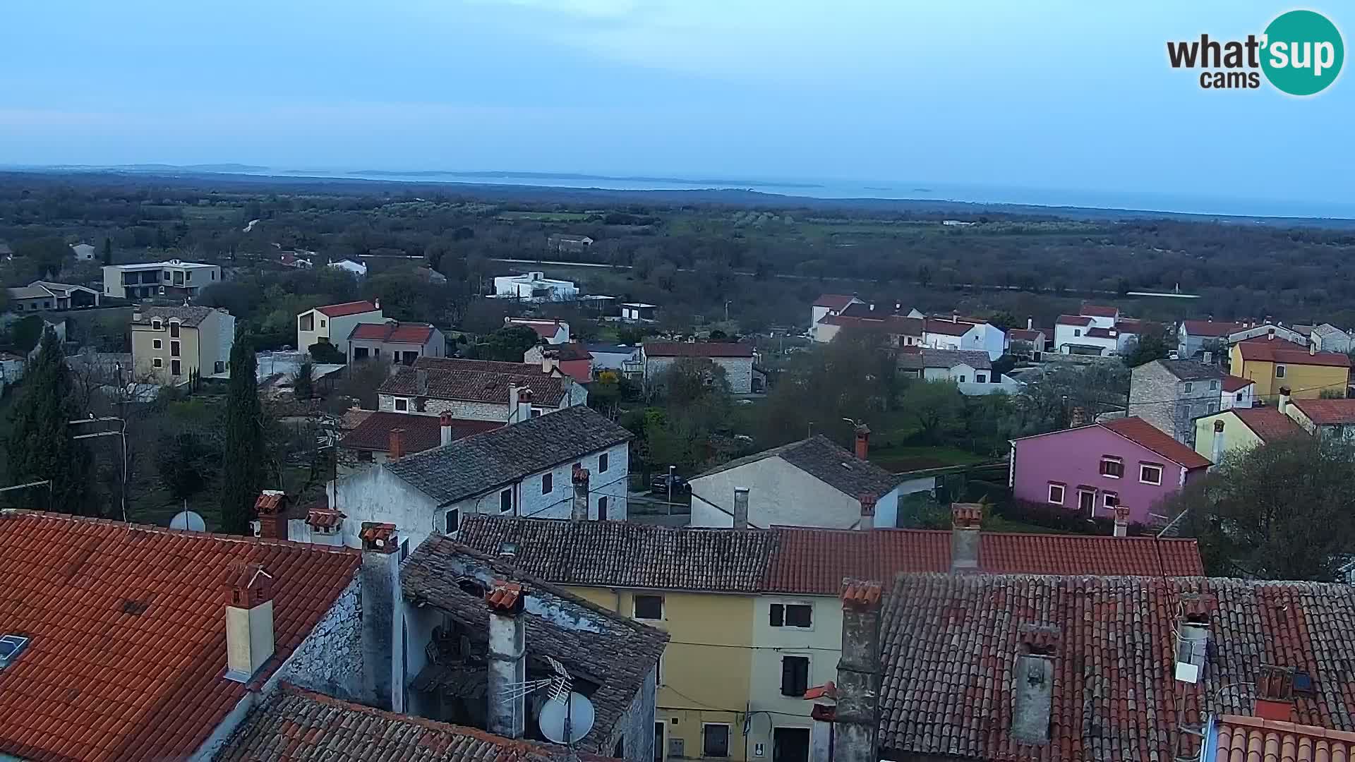 Kamera na żywo - Bale