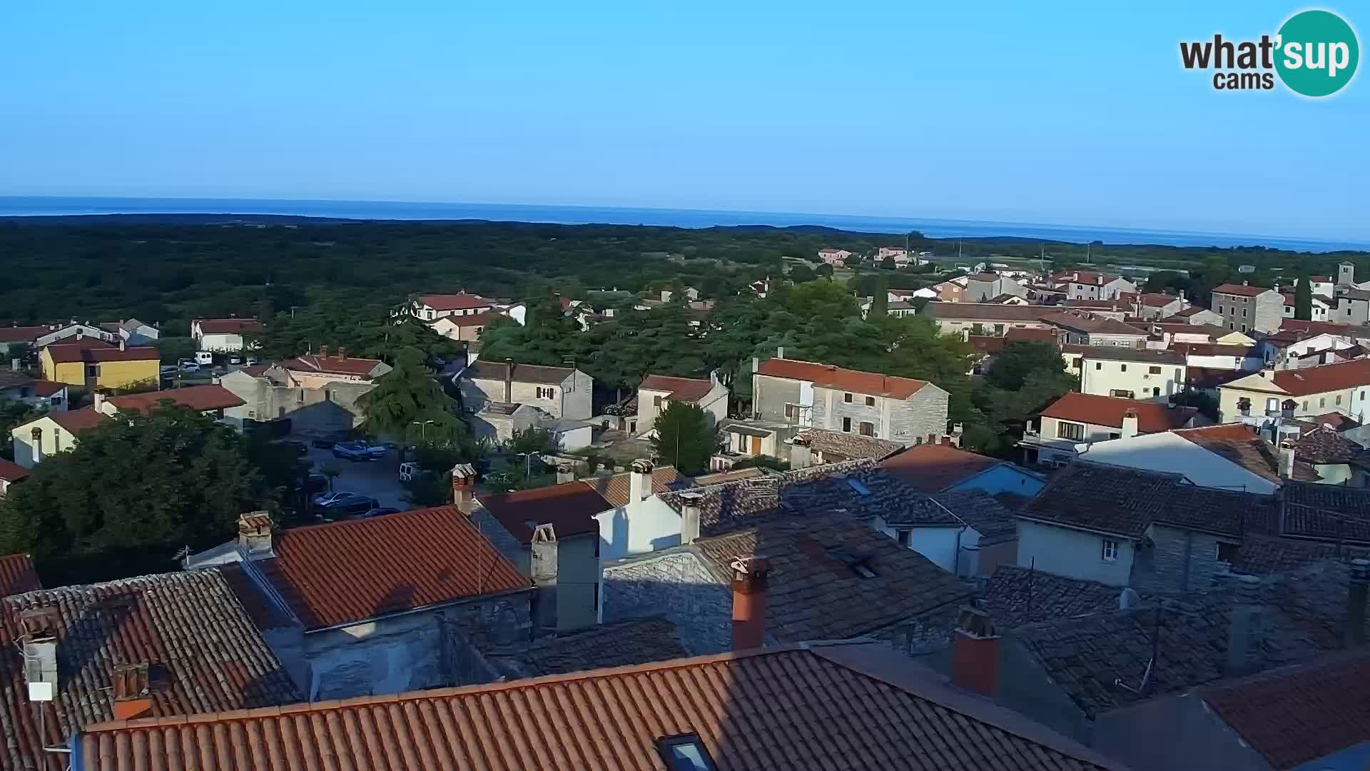 Kamera na żywo - Bale