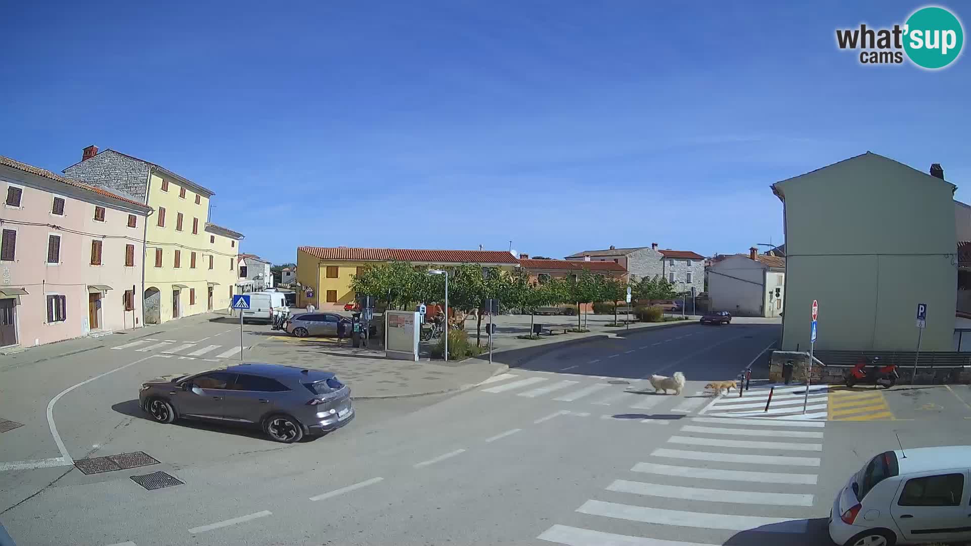 Webcam Bale Trg La Musa – Istrien – Kroatien