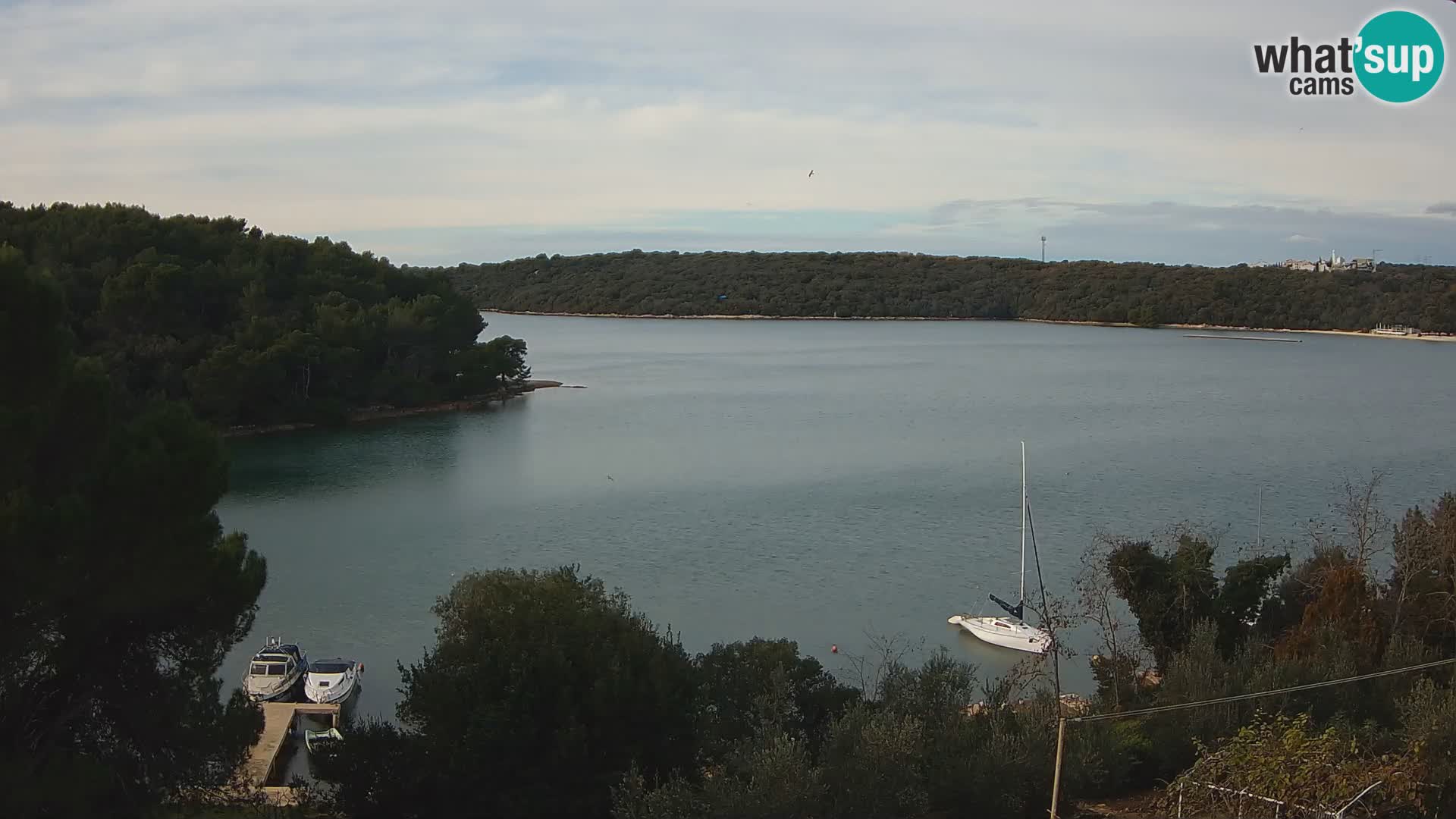 Live Webcam Gulf of Banjole near Pula