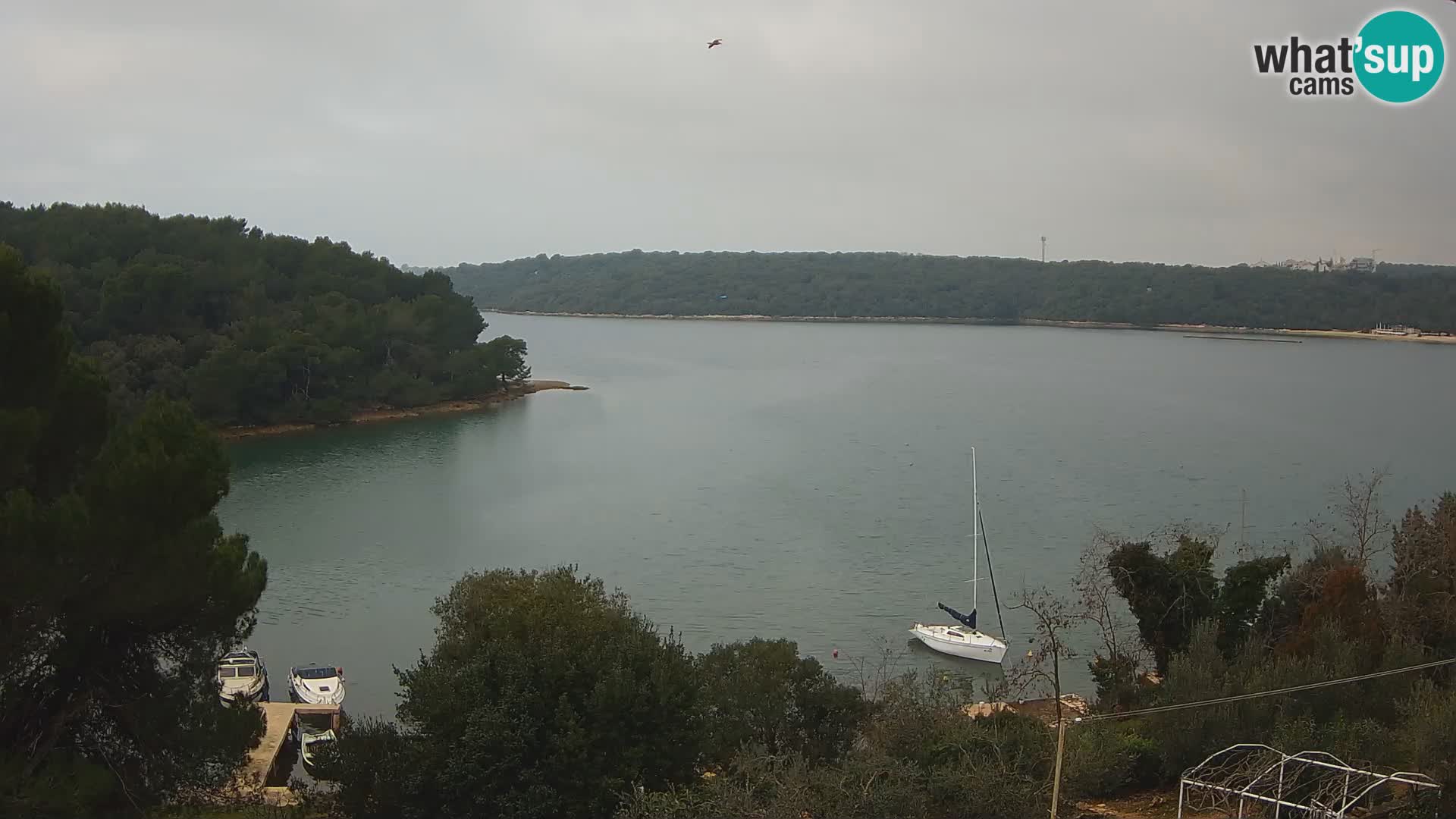 Live Webcam Gulf of Banjole near Pula