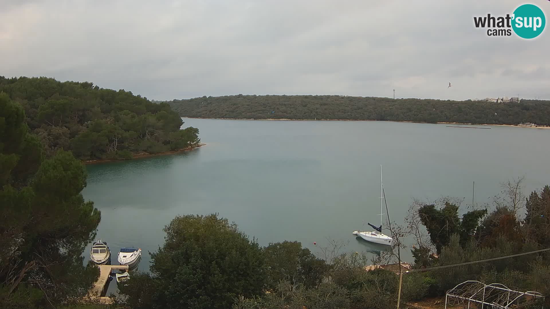 Live Webcam Gulf of Banjole near Pula