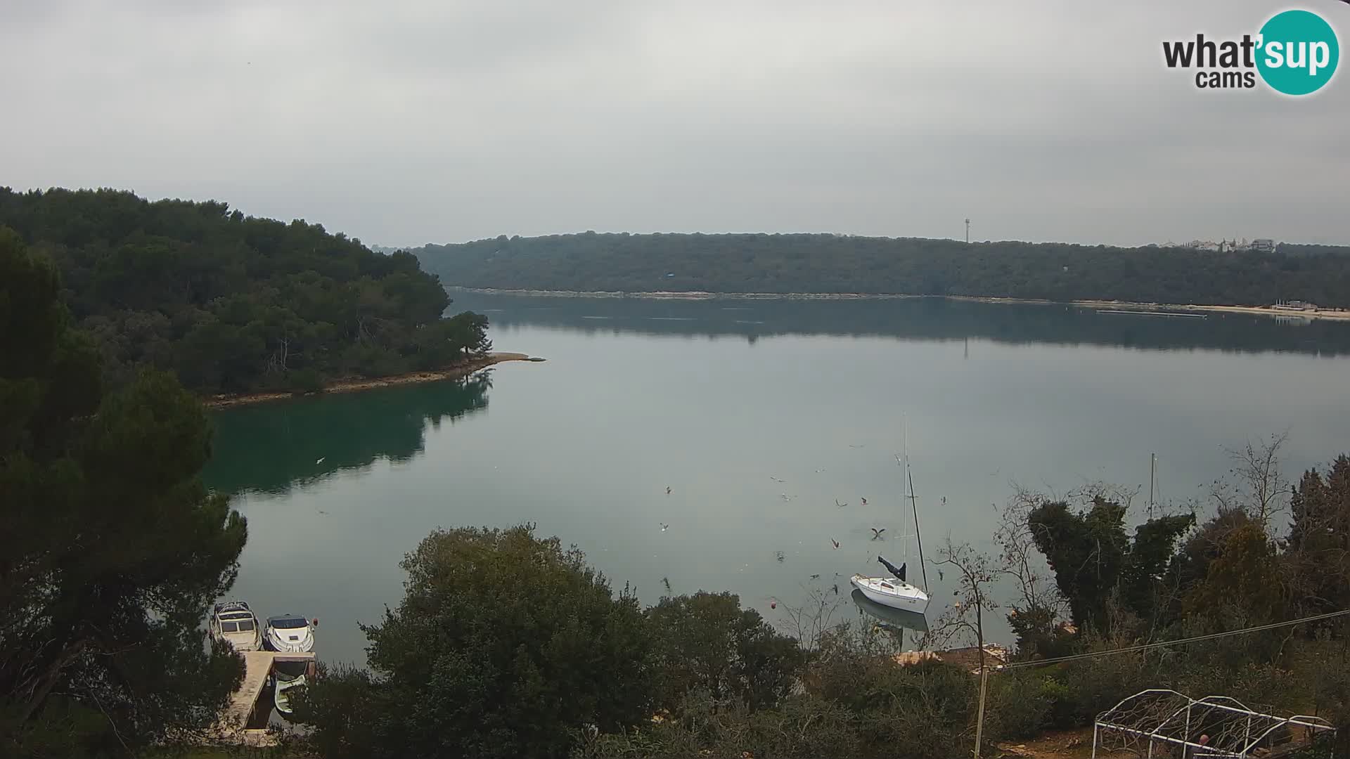 Live Webcam Gulf of Banjole near Pula