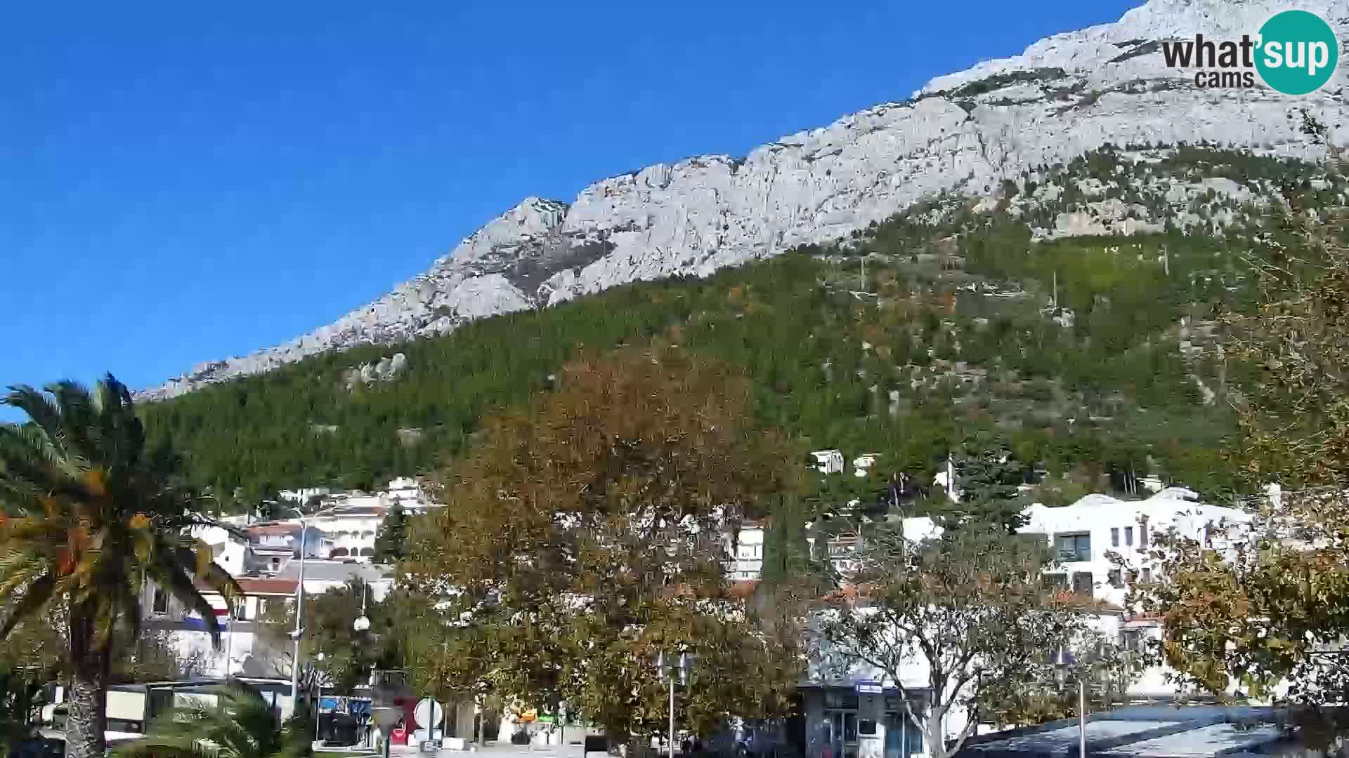 Seaside promenade in Baška Voda