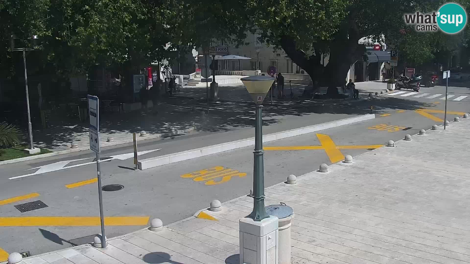Lungomare di Basca Voda webcam