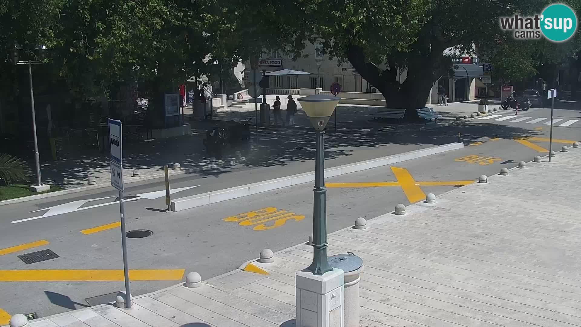 Lungomare di Basca Voda webcam