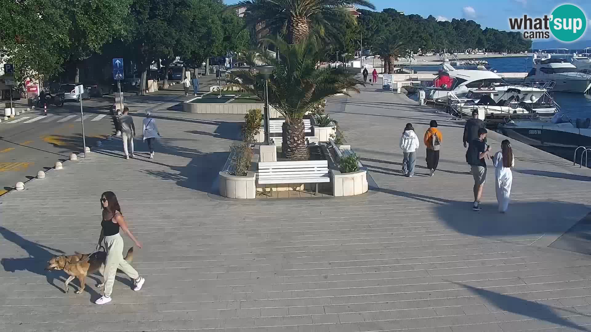 Longomare di Bascavoda