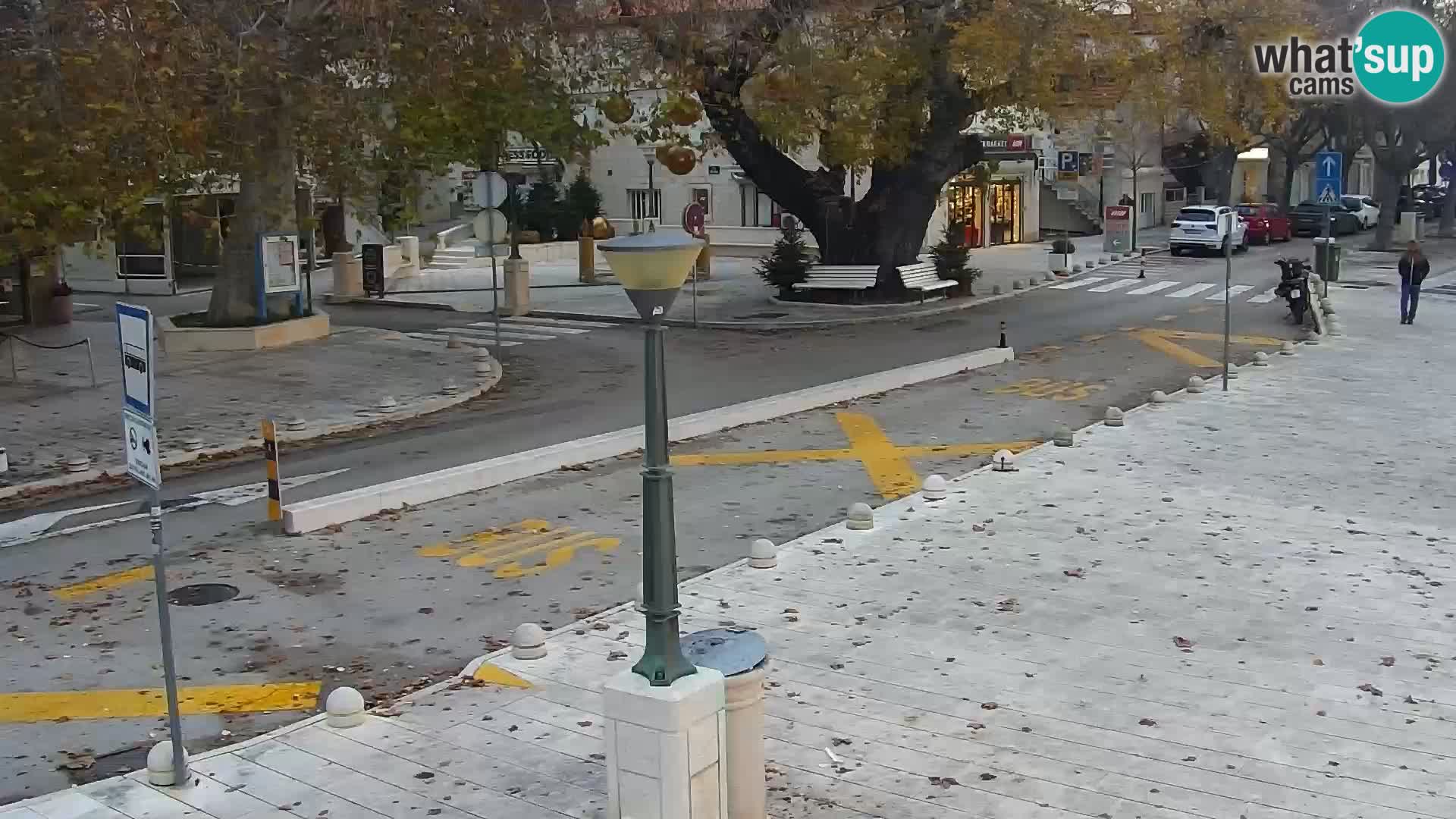 Seaside promenade in Baška Voda