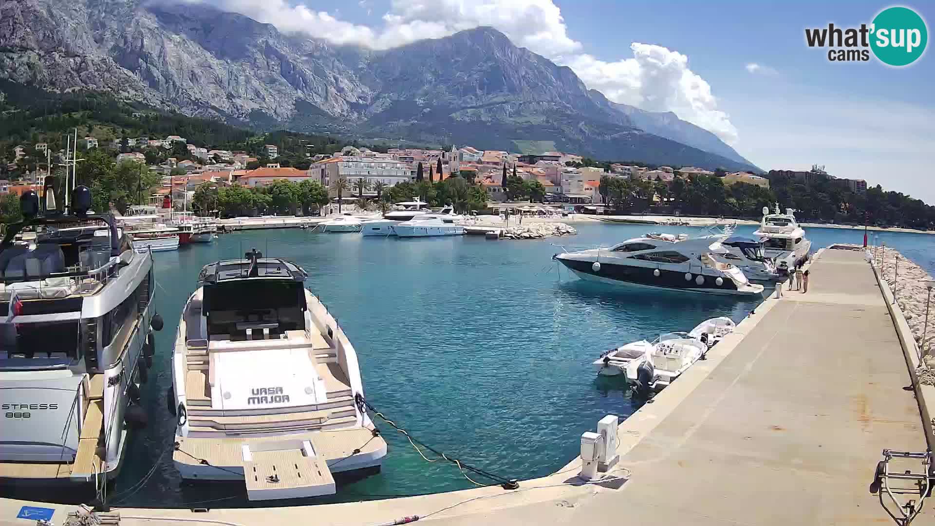 Vue du port de plaisance de la ville et la montagne Biokovo