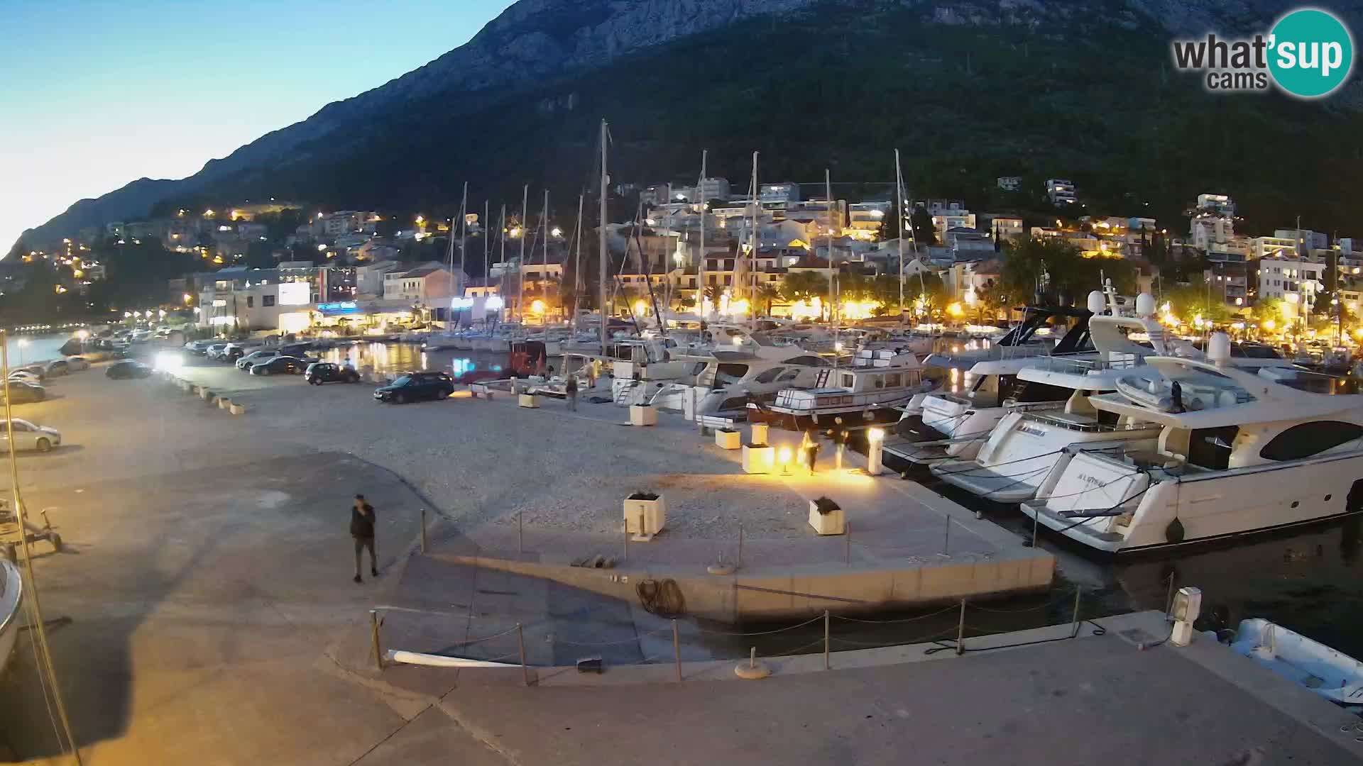 Vue du port de plaisance de la ville et la montagne Biokovo