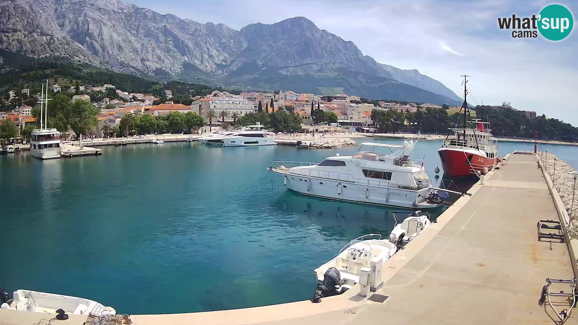 Vue du port de plaisance de la ville et la montagne Biokovo