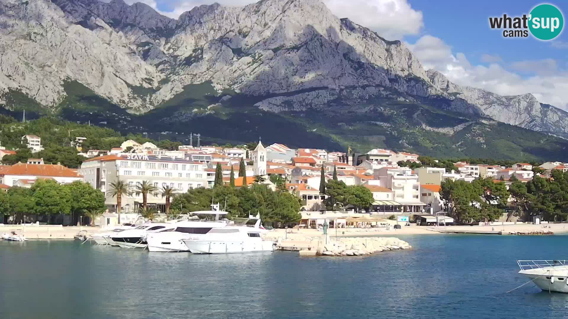 Vue du port de plaisance de la ville et la montagne Biokovo