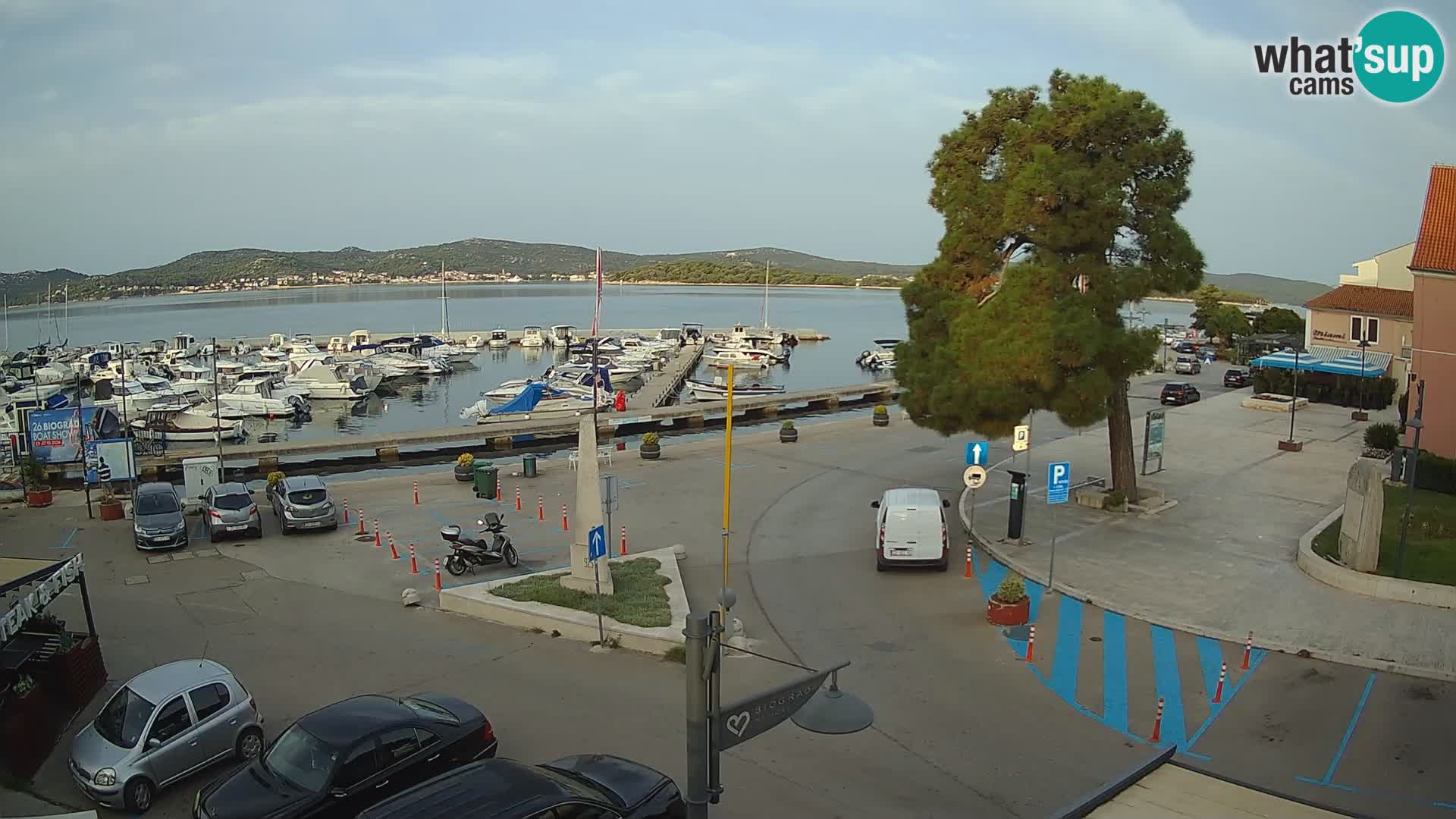 Biograd na Moru webcam – König Tomislav Platz