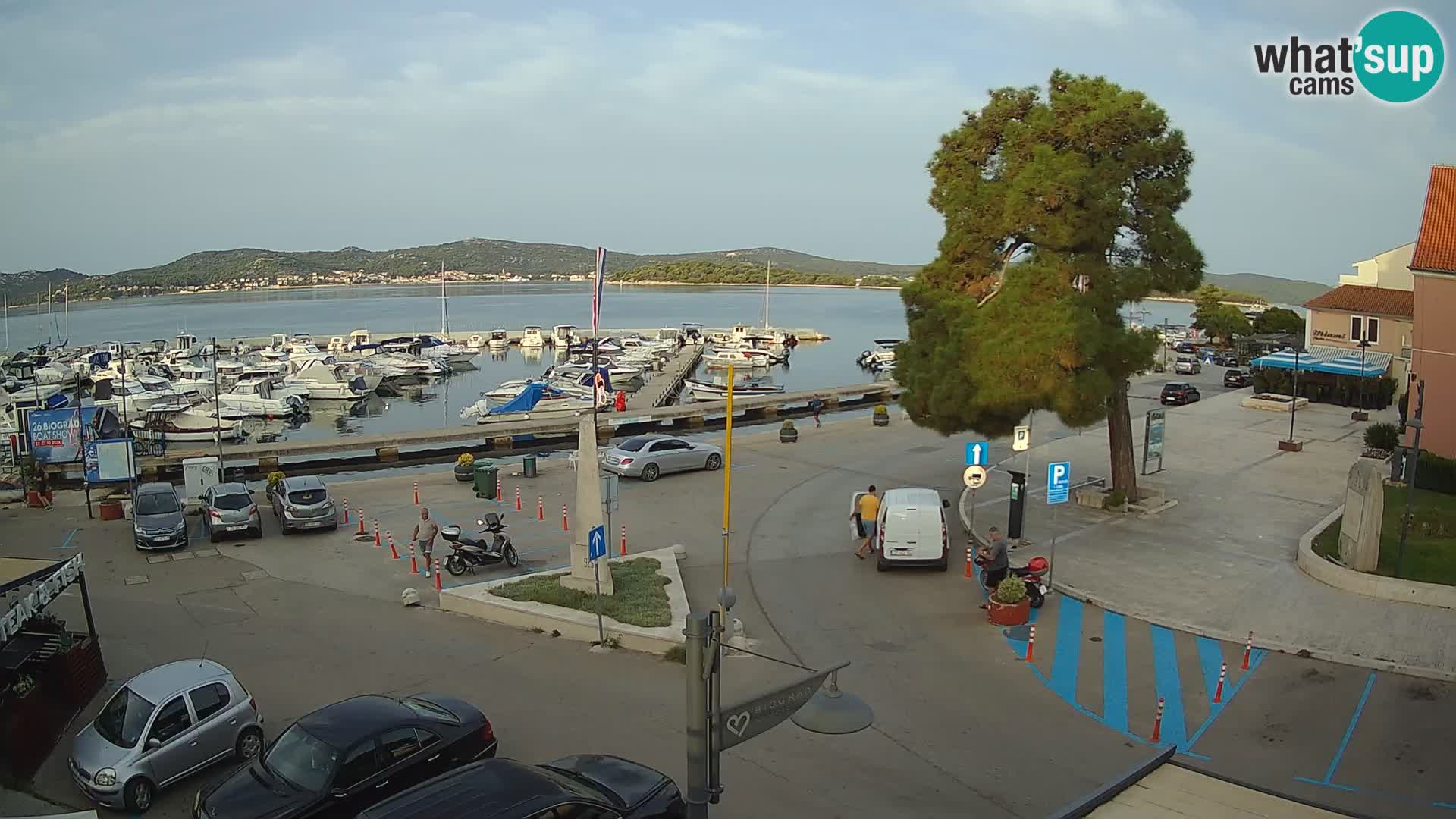 Biograd na Moru webcam – König Tomislav Platz