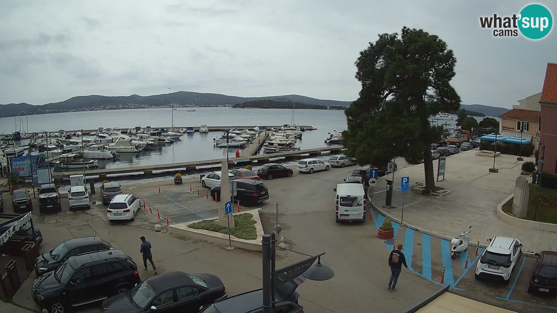 Biograd na Moru webcam – König Tomislav Platz