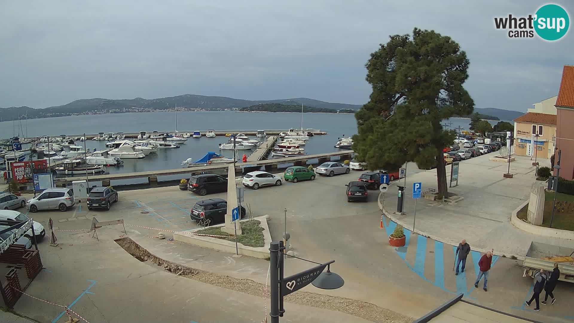 Biograd na Moru webcam – König Tomislav Platz