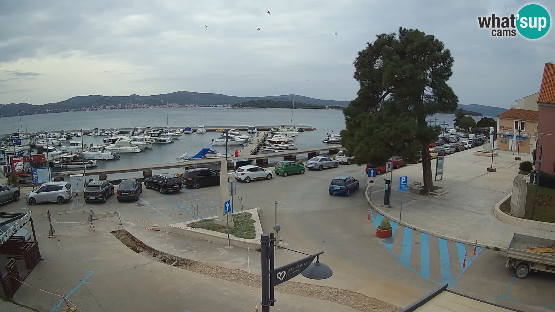 Biograd na Moru – King Tomislav square