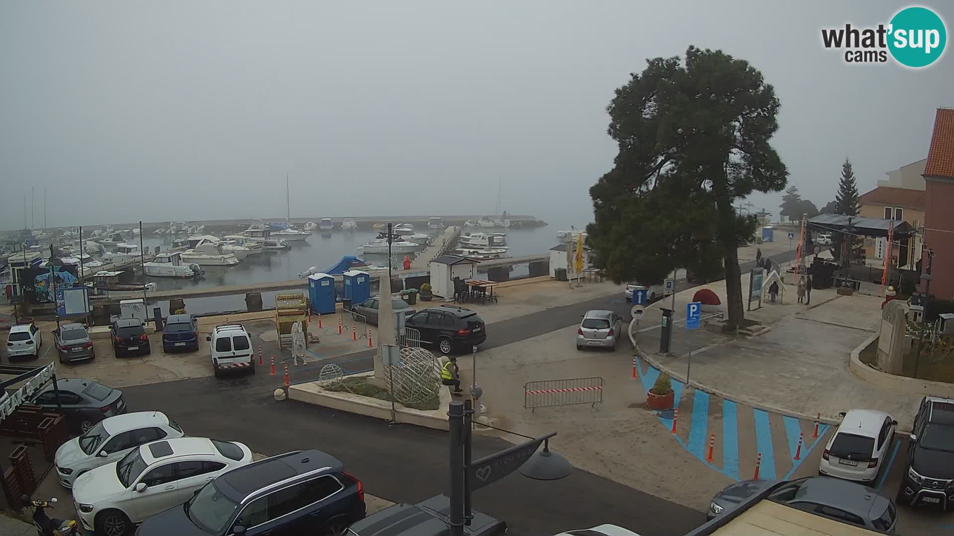 Biograd na Moru webcam – König Tomislav Platz