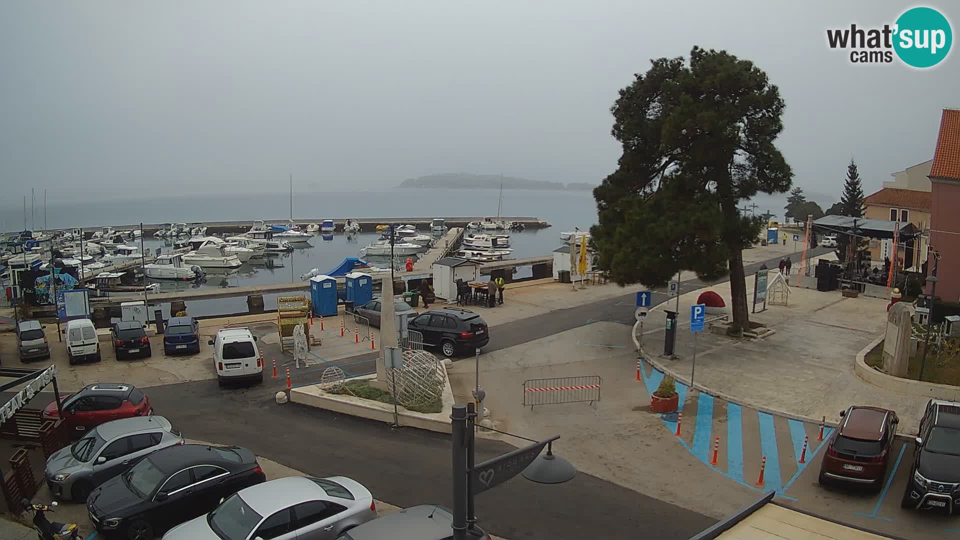 Biograd na Moru webcam – König Tomislav Platz