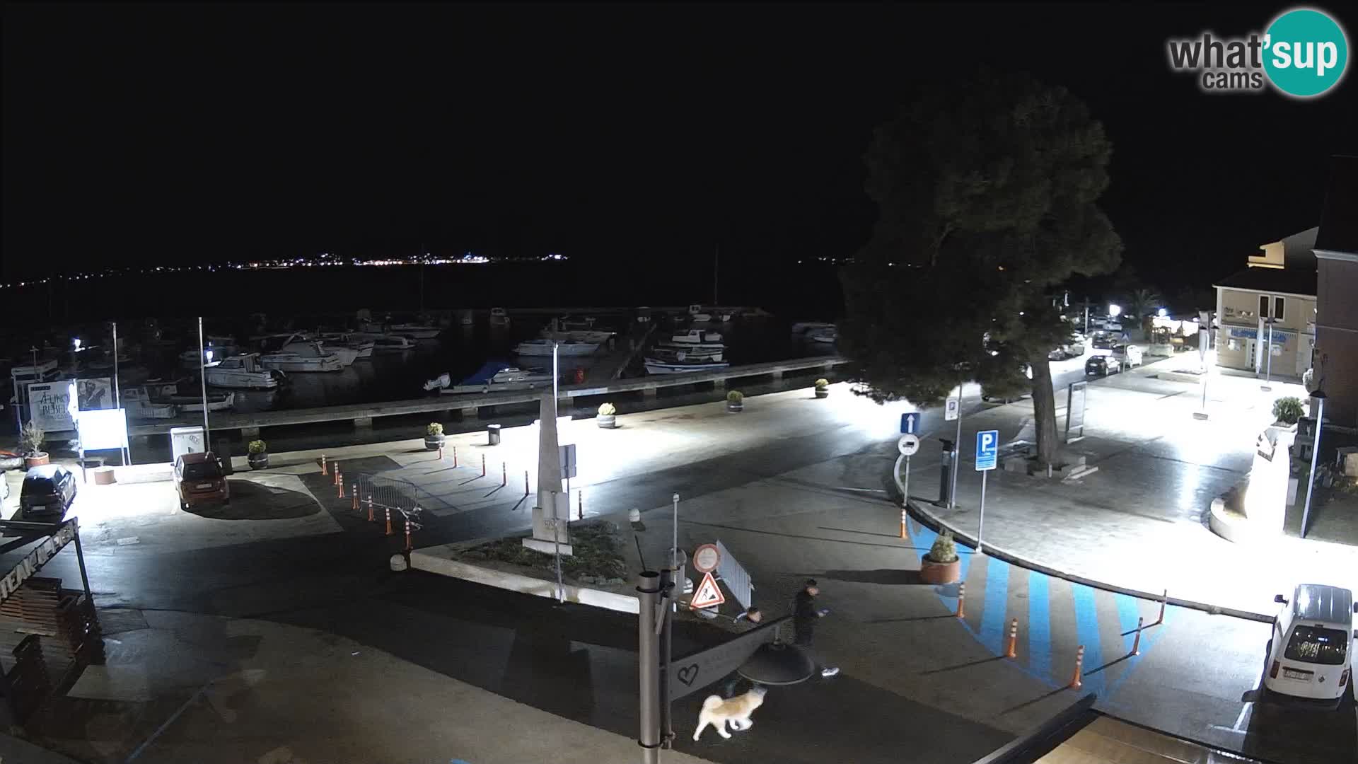 Biograd na Moru webcam – König Tomislav Platz