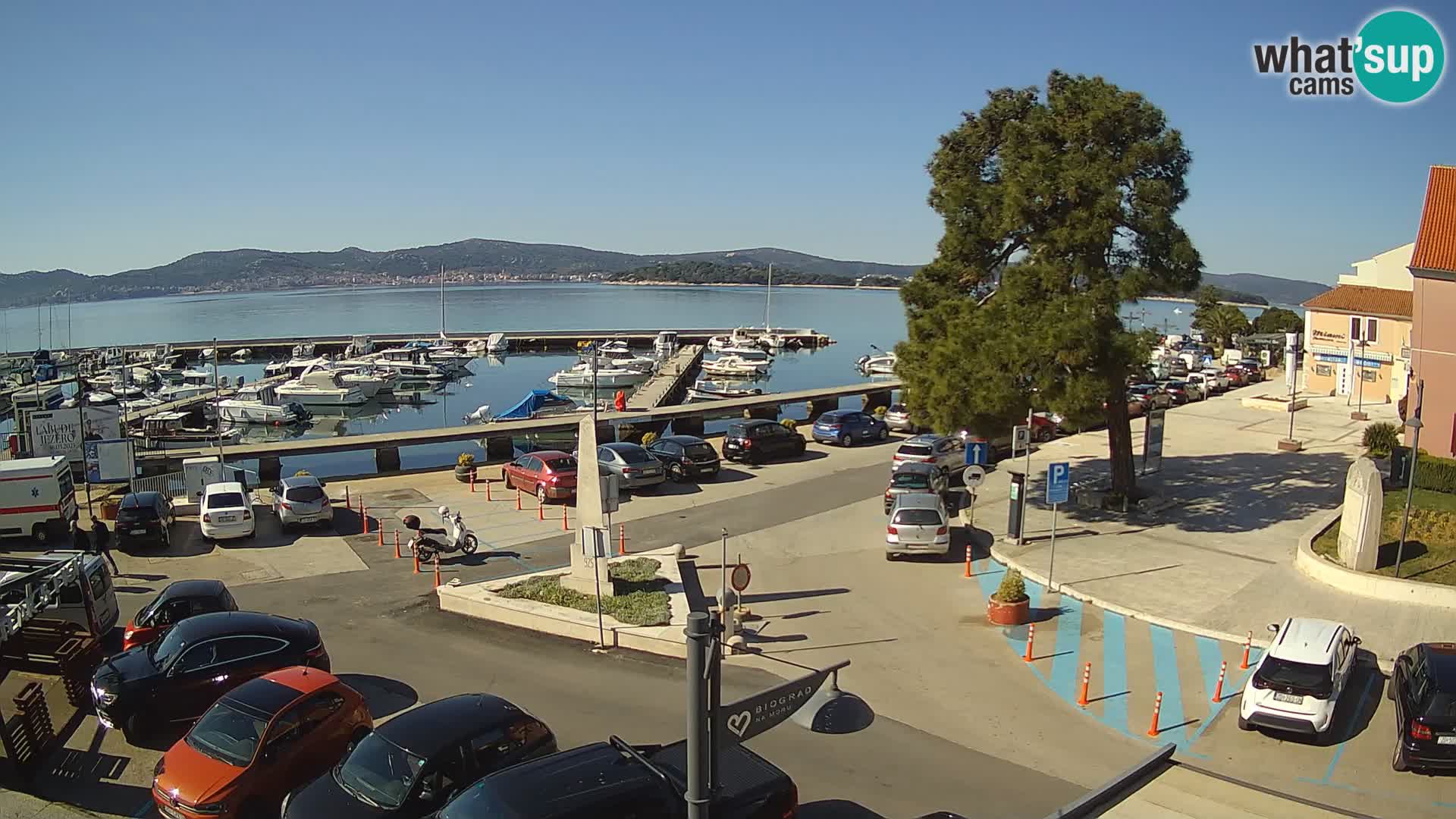 Biograd na Moru webcam – König Tomislav Platz