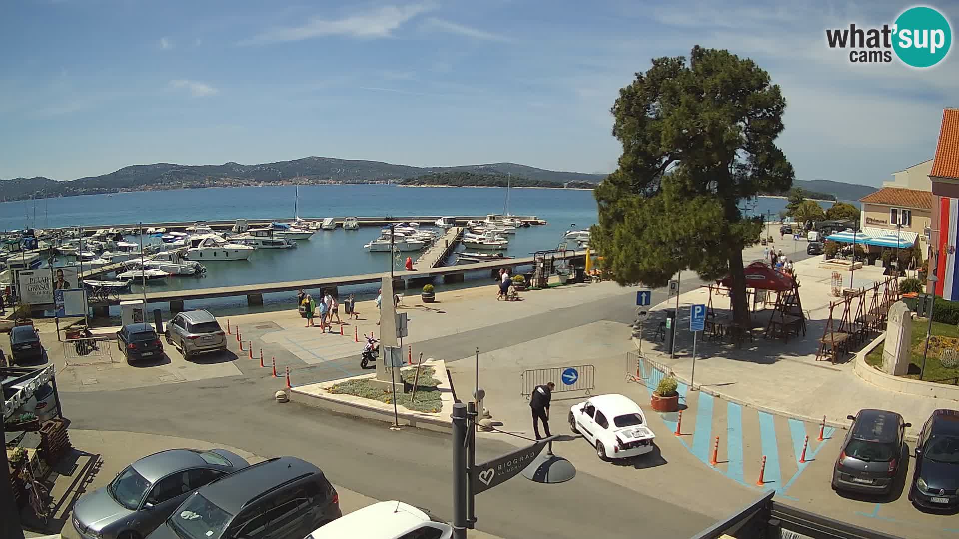 Biograd na Moru webcam – König Tomislav Platz