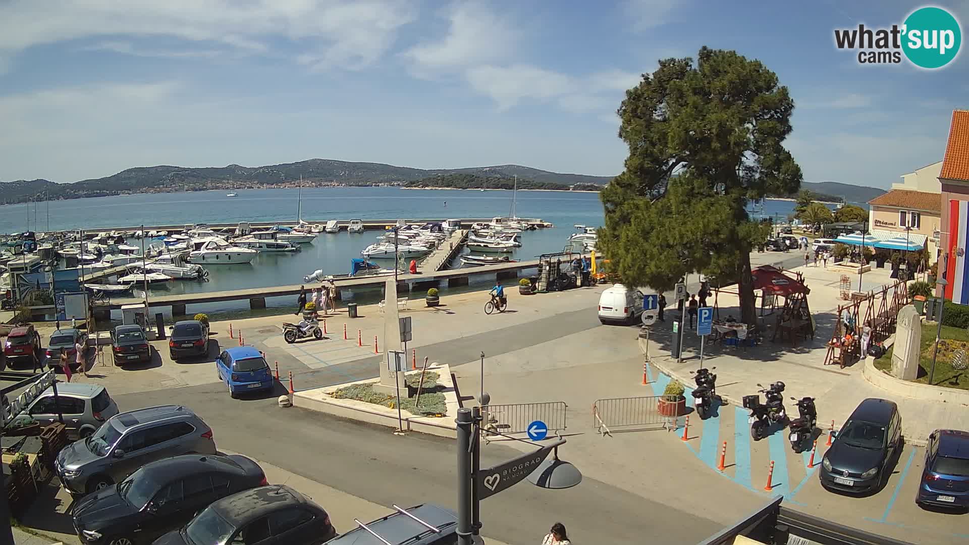 Biograd na Moru webcam – König Tomislav Platz