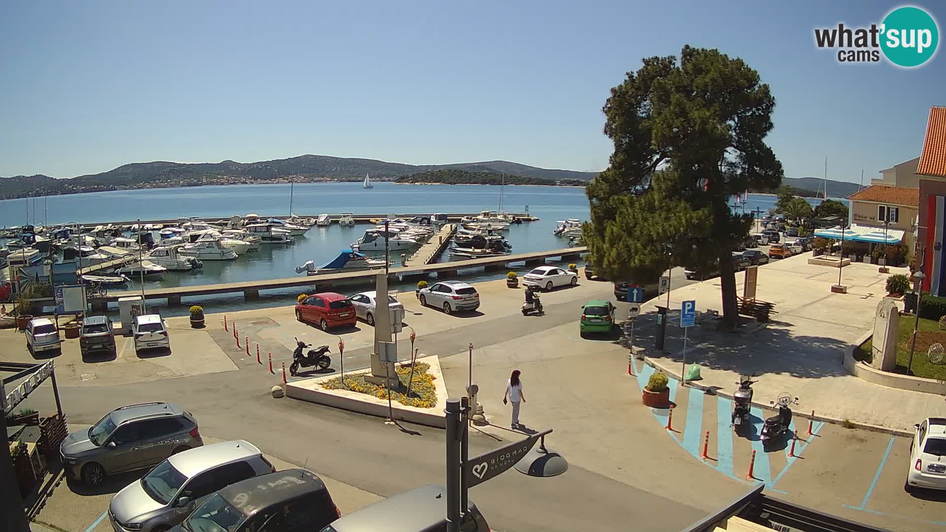 Biograd na Moru webcam – König Tomislav Platz