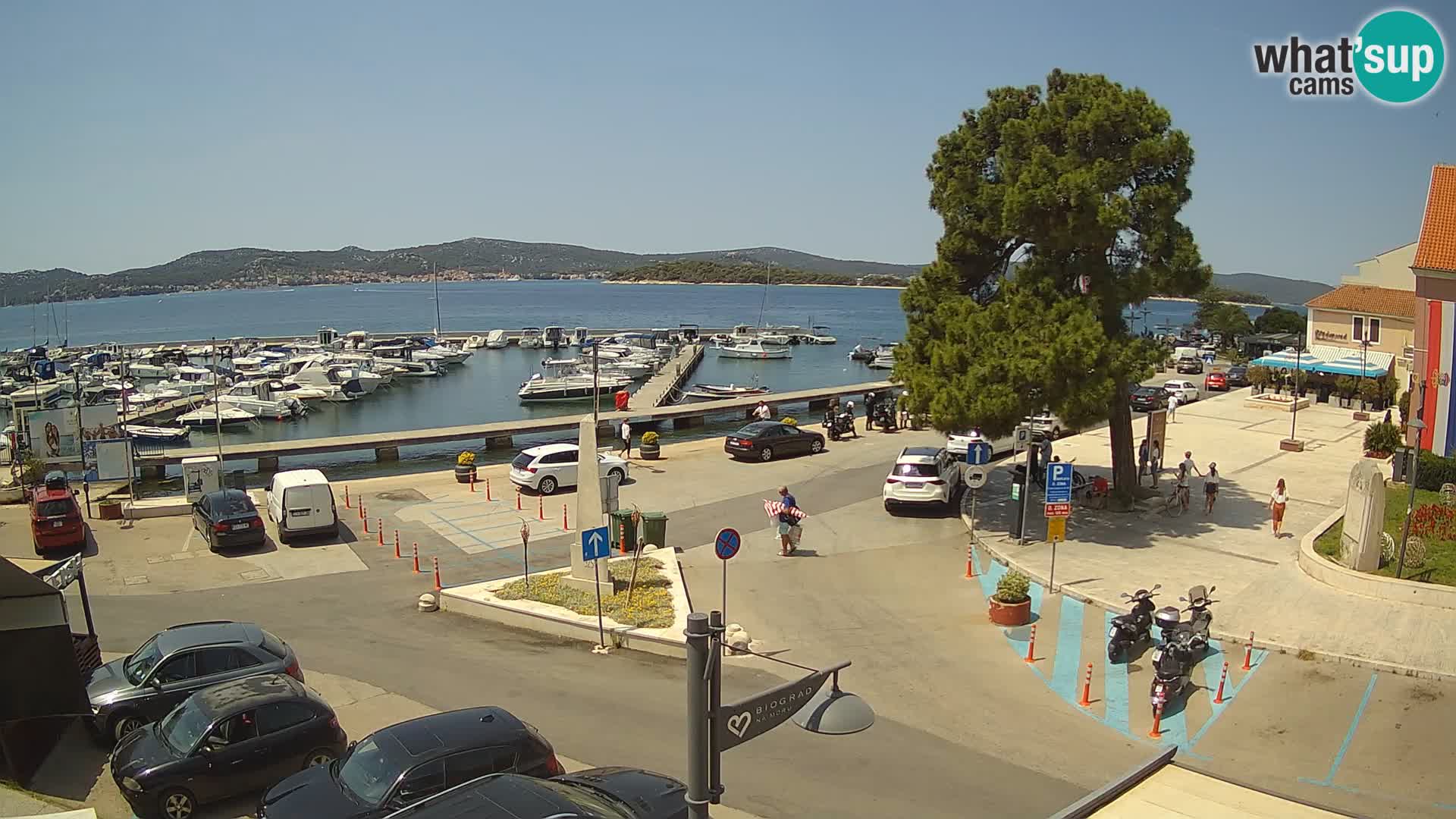 Biograd na Moru webcam – König Tomislav Platz