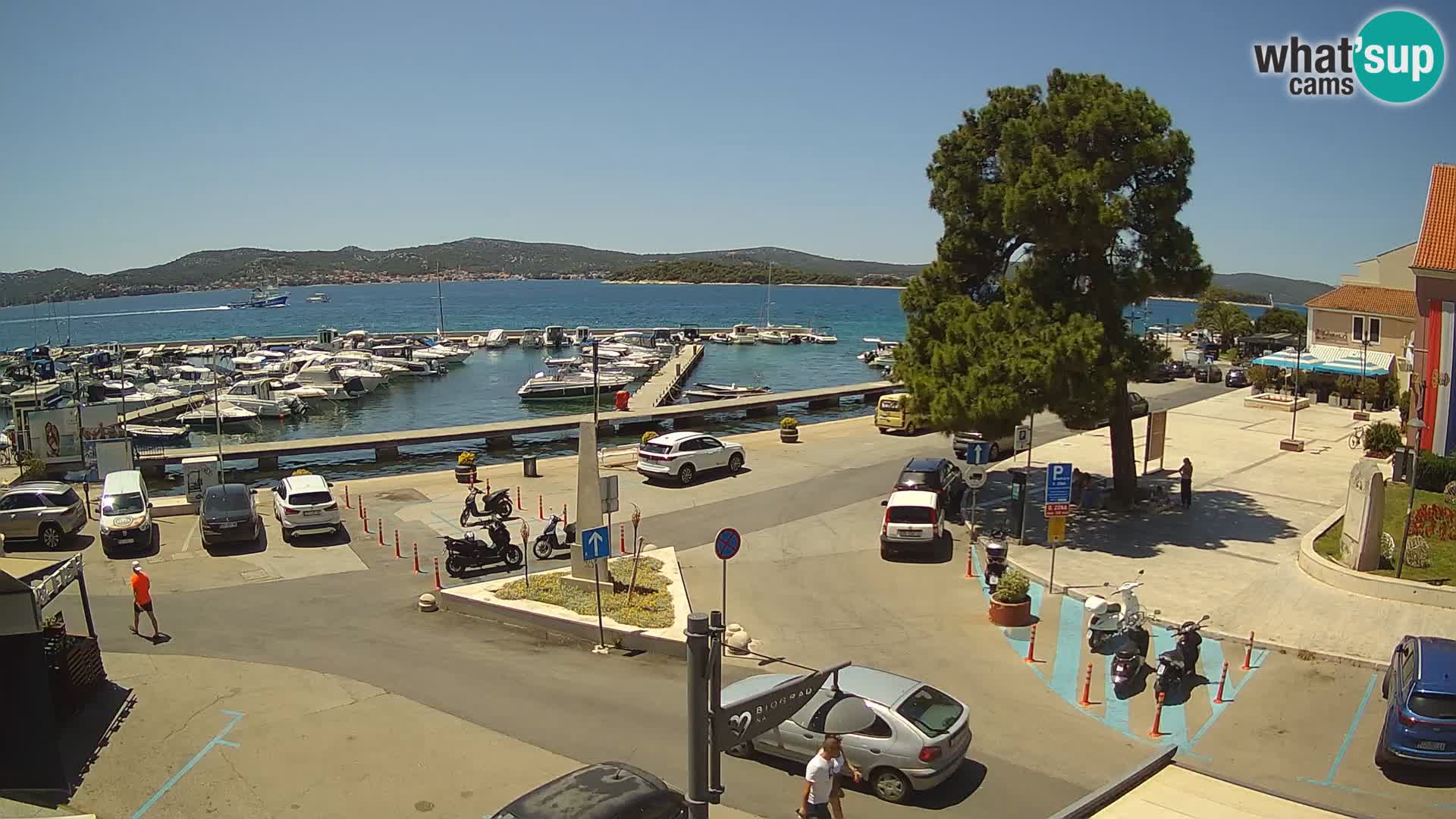 Biograd na Moru webcam – König Tomislav Platz