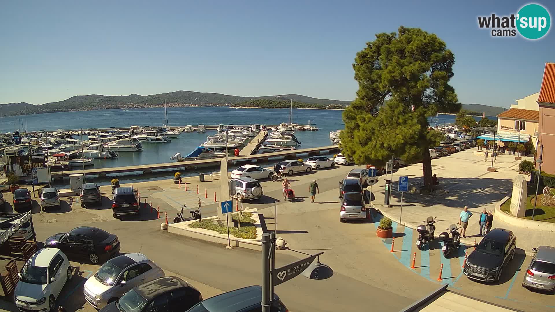 Biograd na Moru webcam – König Tomislav Platz