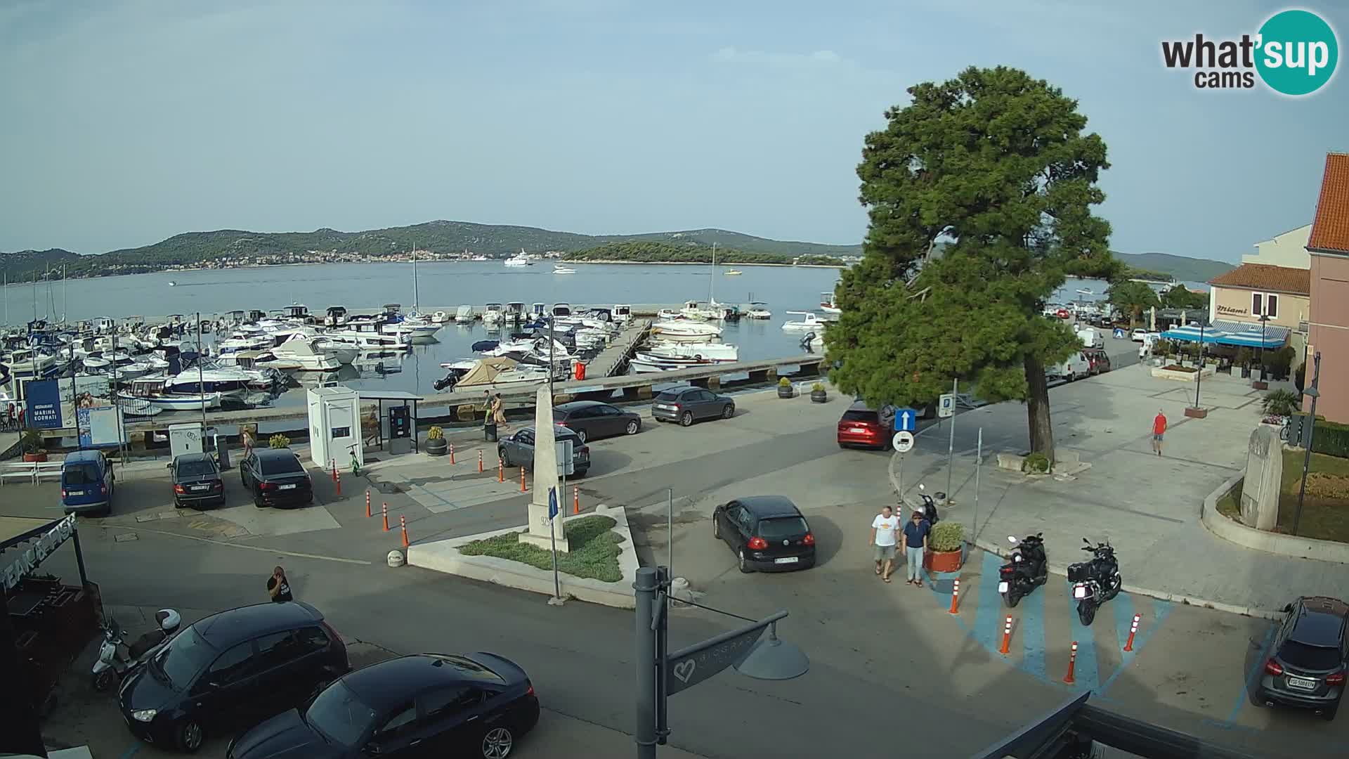 Biograd na Moru – King Tomislav square