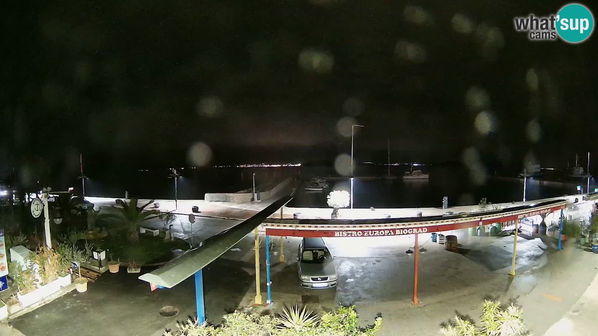 Biograd na Moru –  Coast King Petar Krešimir IV