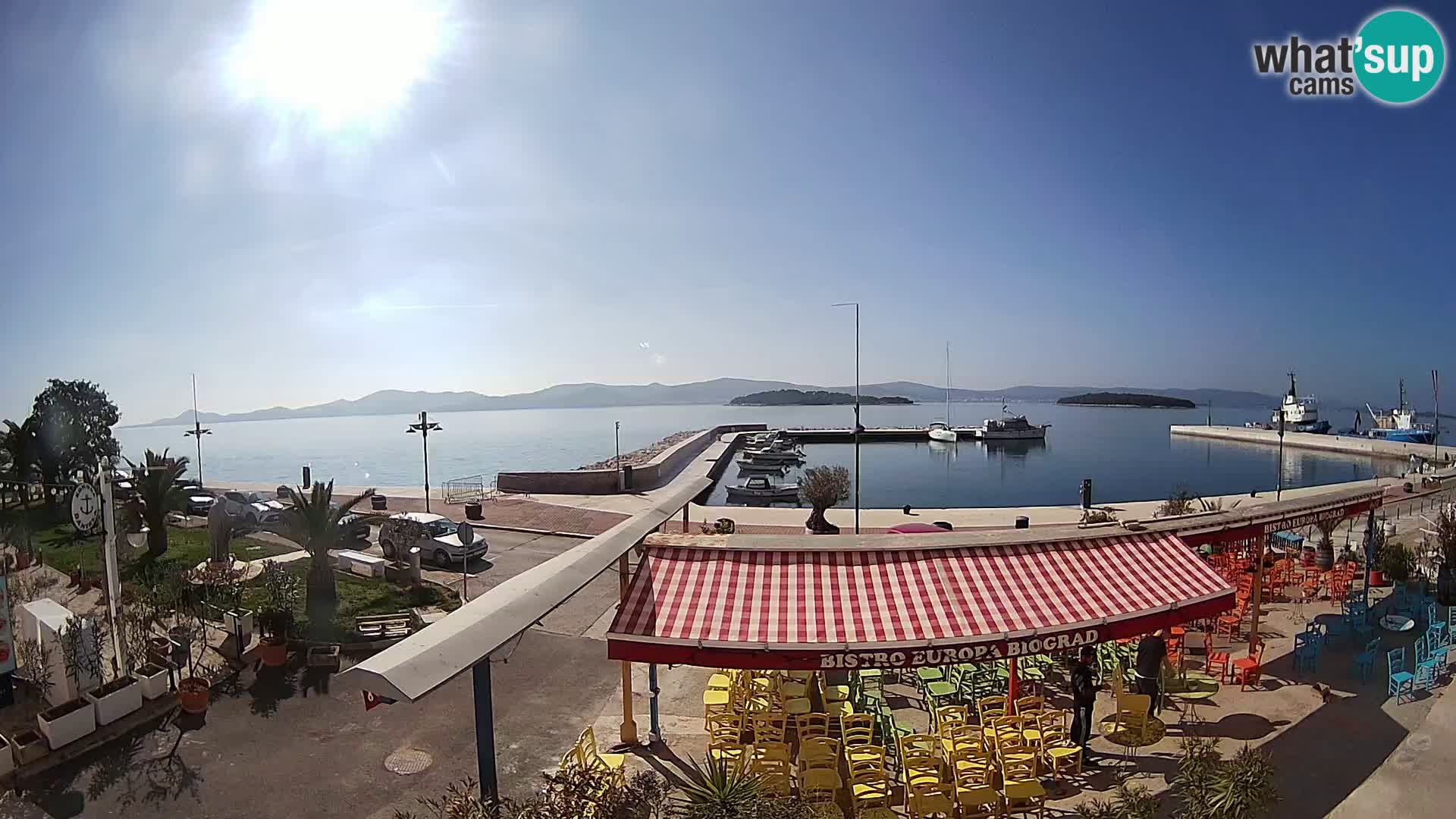 Biograd na Moru –  Coast King Petar Krešimir IV