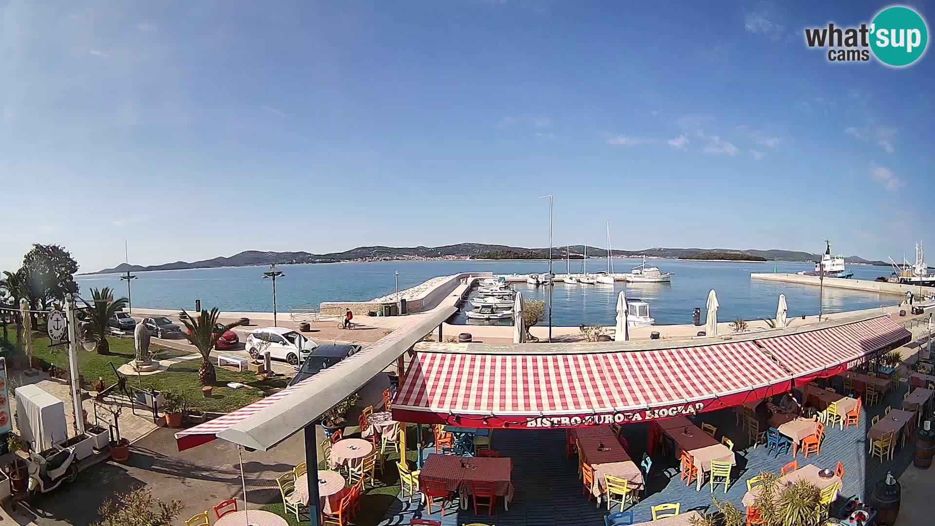 Biograd na Moru –  Coast King Petar Krešimir IV