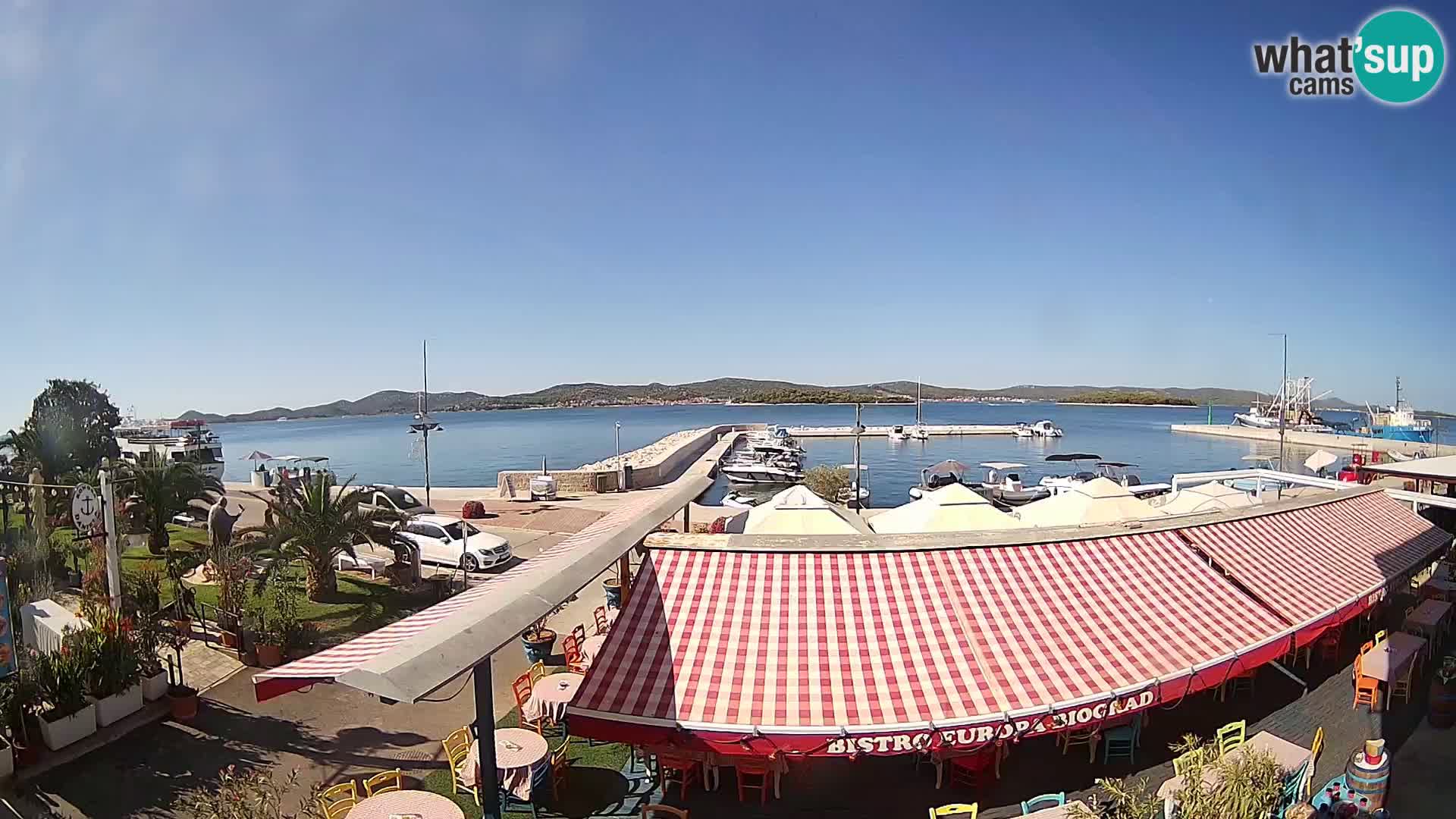 Biograd na Moru –  Coast King Petar Krešimir IV